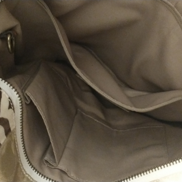 Coach Carly - Picture 4 of 6